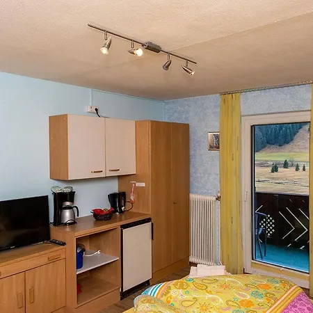Haus Rosemarie Apartment